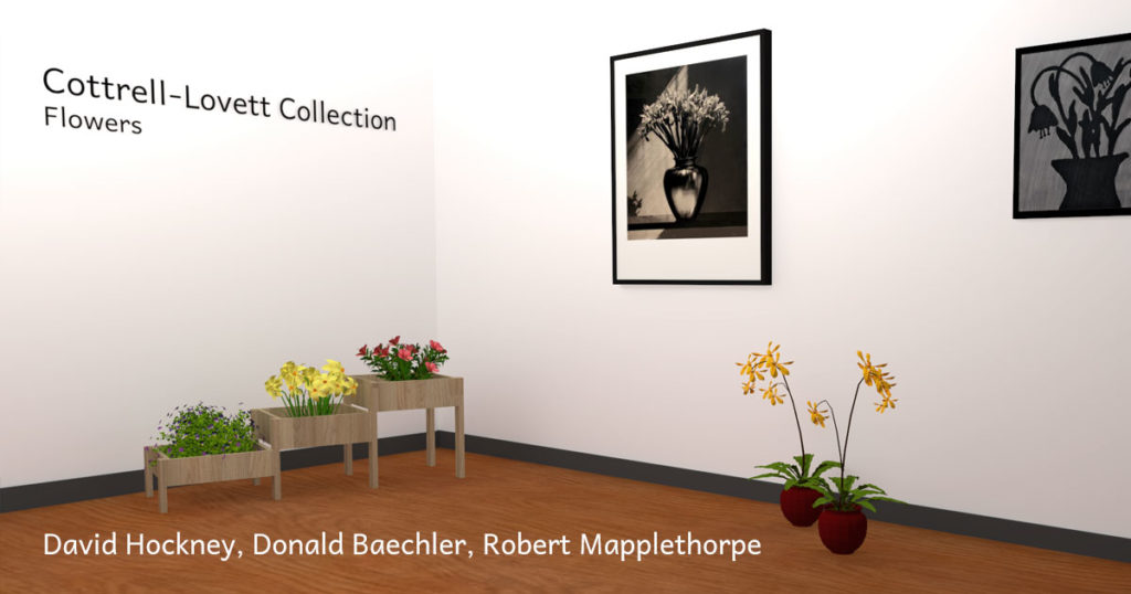 Flowers - Virtual Exhibition